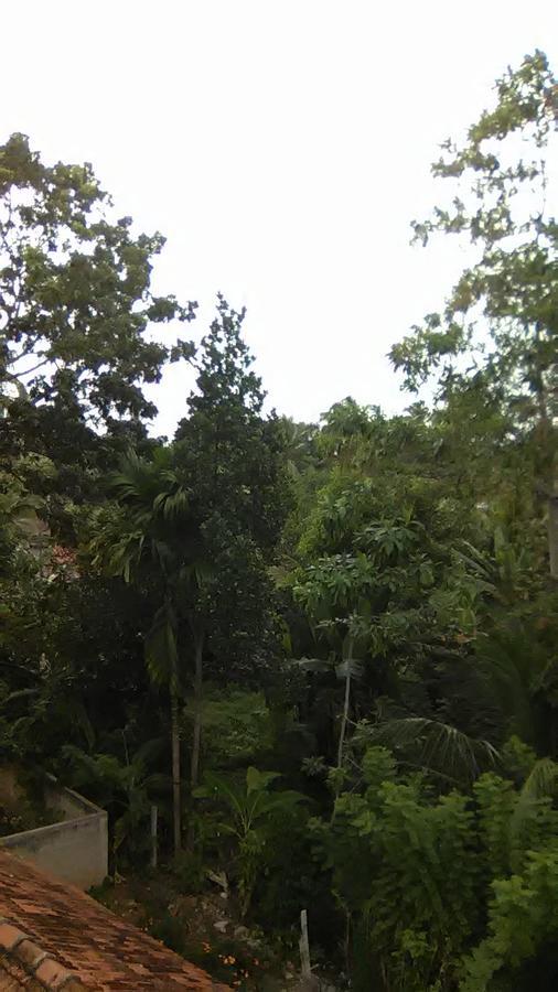 Mallika Resort Mirissa Zewnętrze zdjęcie